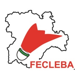 Logo Federación de Bádminton de Castilla y León
