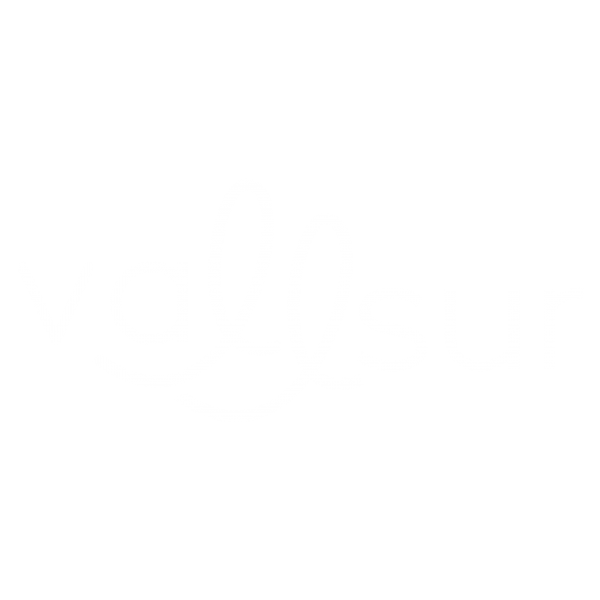 Logotipo de Vallsur