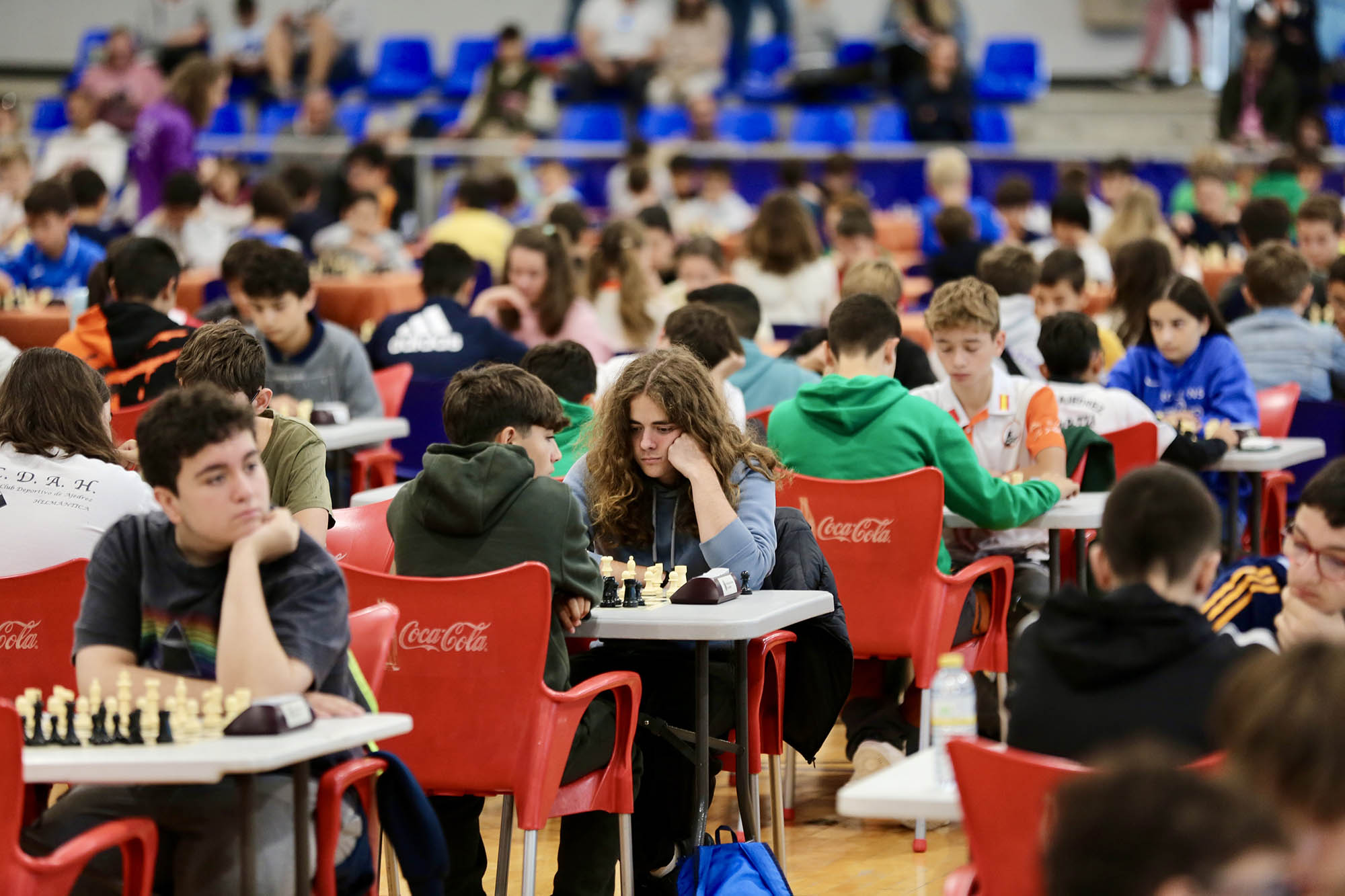 Foto de la instalación XVIII TORNEO DE AJEDREZ LA VENDIMIA