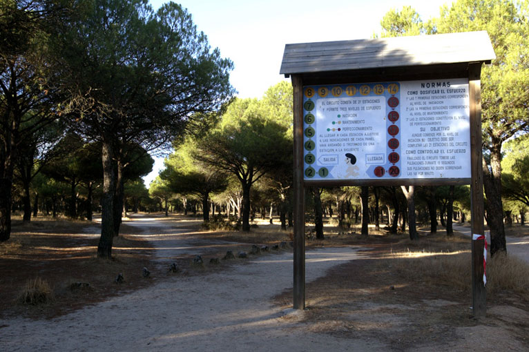 Foto de Circuito de Footing Pinar de Antequera