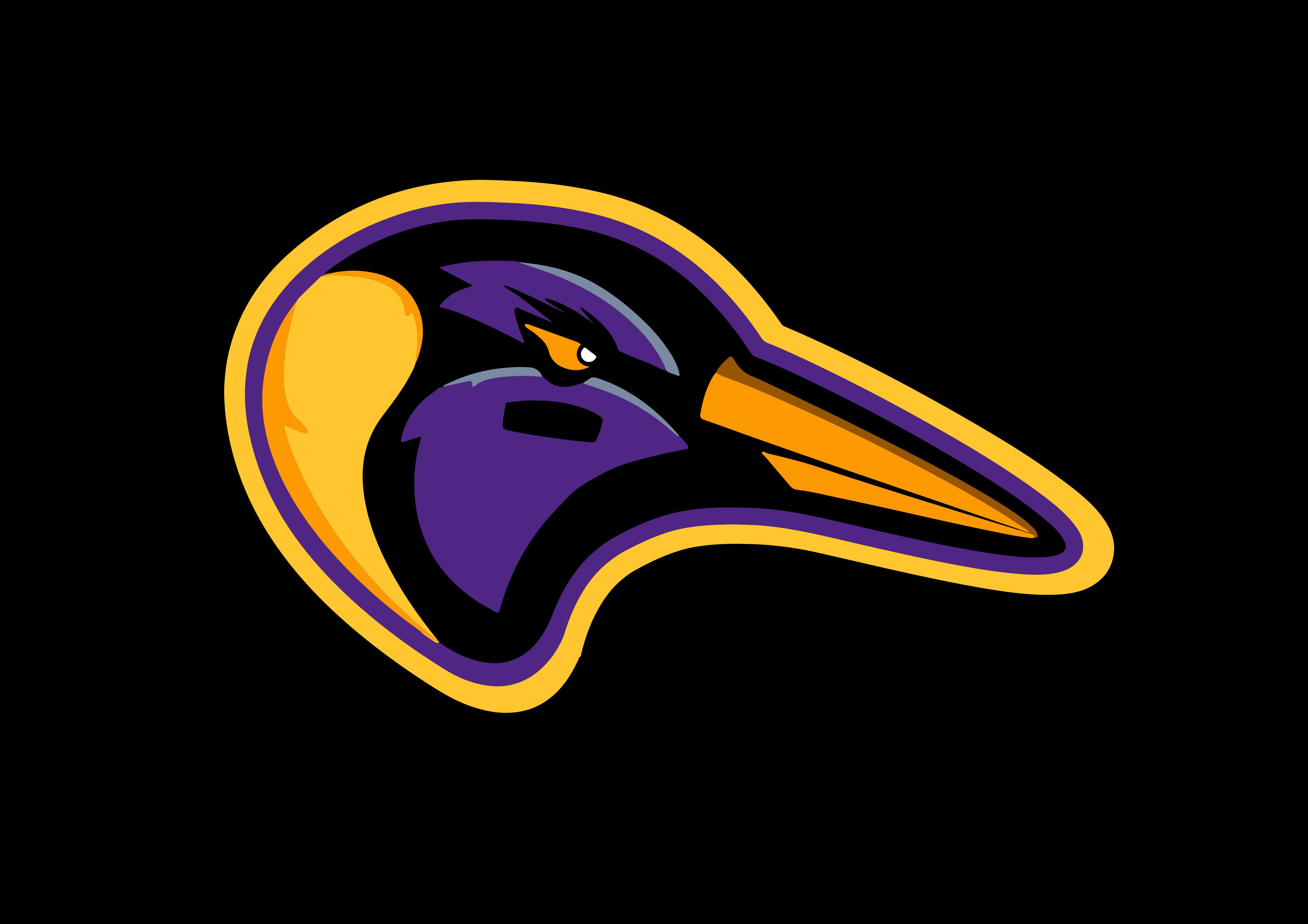 Logo Valladolid Penguins, C.D.