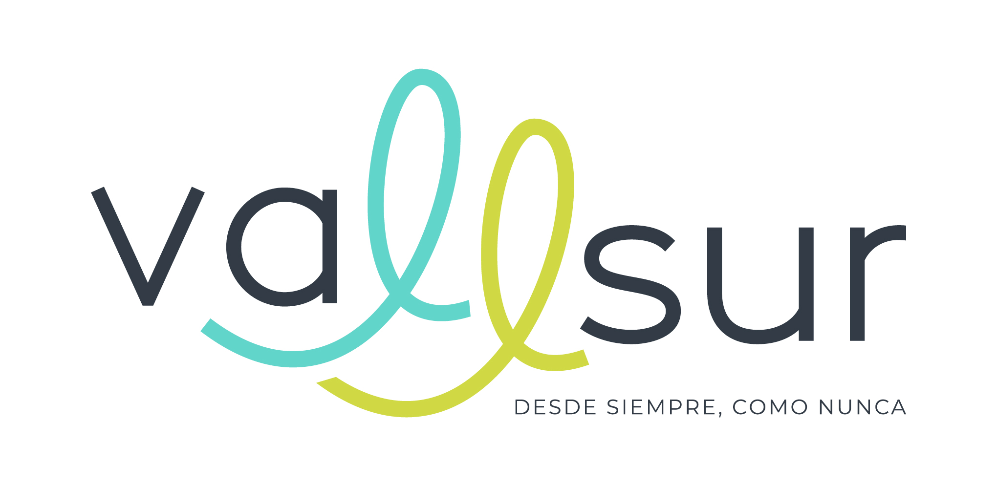 Logotipo de Vallsur