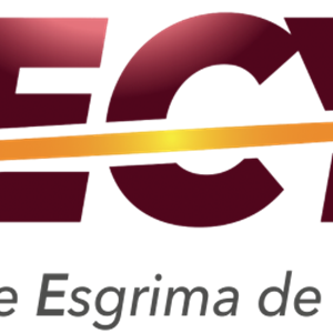 Logo Federación de Esgrima de Castilla y León