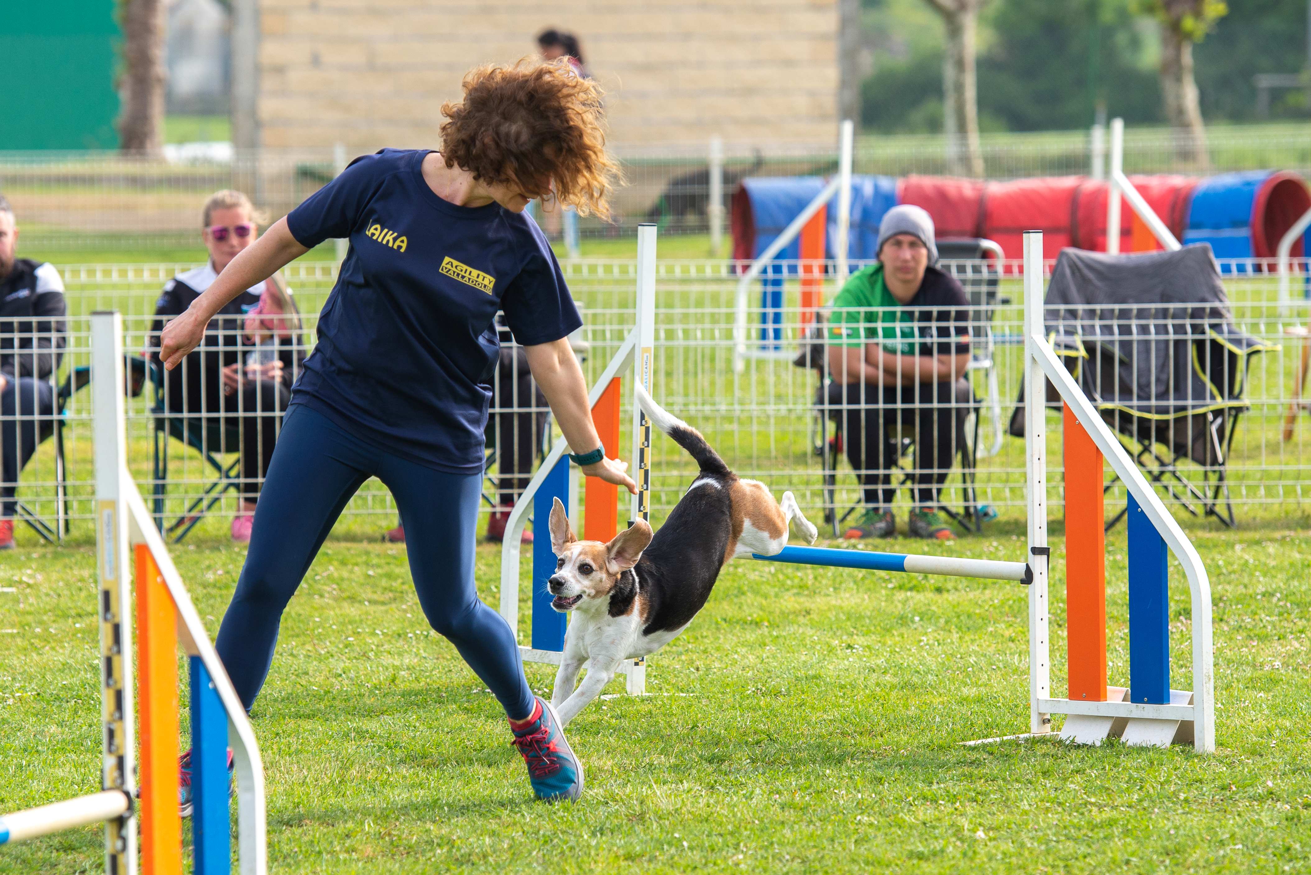 Foto del Copa Castilla y León, Open Nacional de Agility - Final Liga Norte