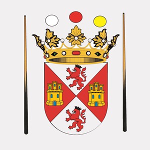 Logo Federación de Billar de Castilla y León