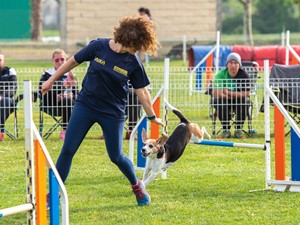 Foto del Copa Castilla y León, Open Nacional,  Final Liga Norte