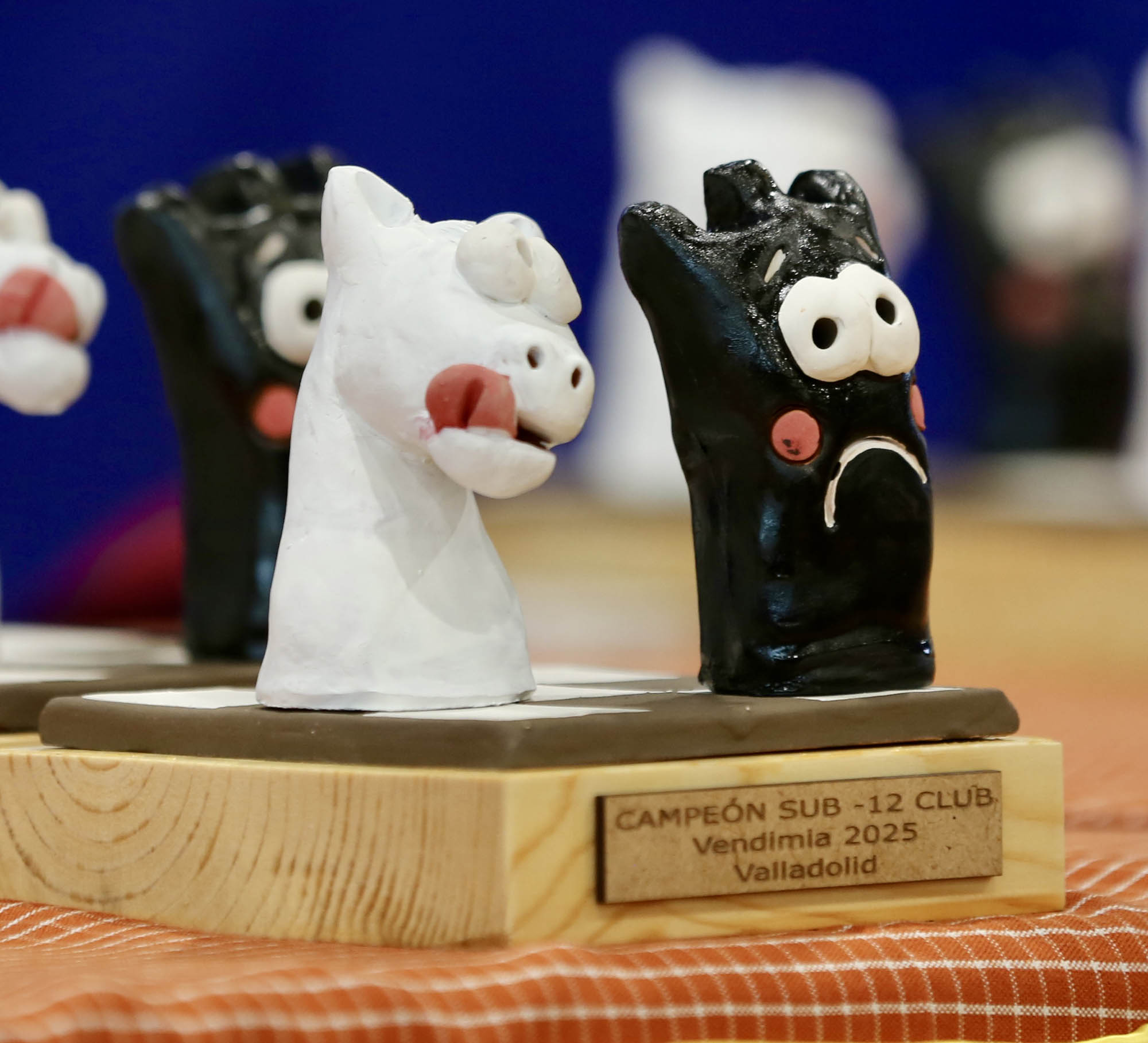 Foto de la instalación XVIII TORNEO DE AJEDREZ LA VENDIMIA