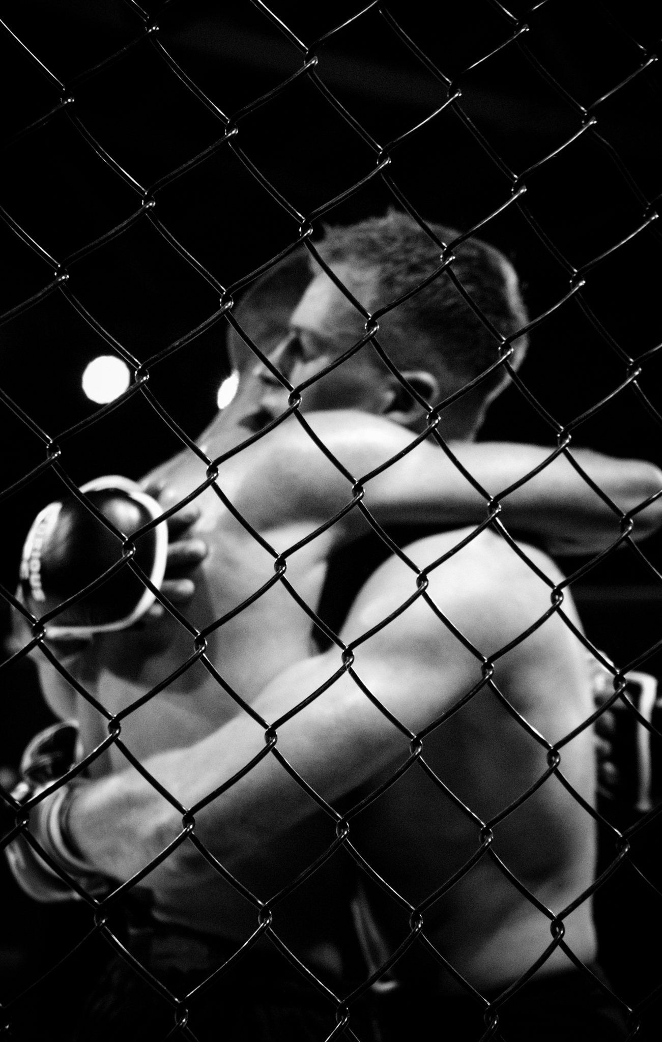 DONDE CAEN LOS PUÑOS NACE EL RESPETO