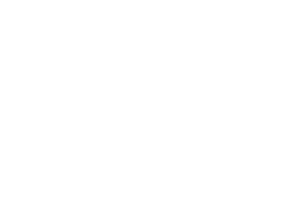 Logotipo de FMD