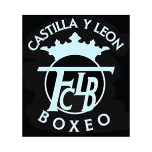 Logo Federación de Boxeo de Castilla y León