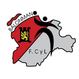 Logo Federación de Balonmano de Castilla y León