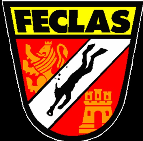 Escudo de la entidad Federación de Actividades Subacuáticas de Castilla y León