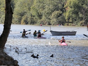 Foto del 59ª Regata de Piragüismo Virgen de San Lorenzo