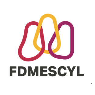 Logo Federación de Deportes de Montaña, Escalada y Senderismo de Castilla y León