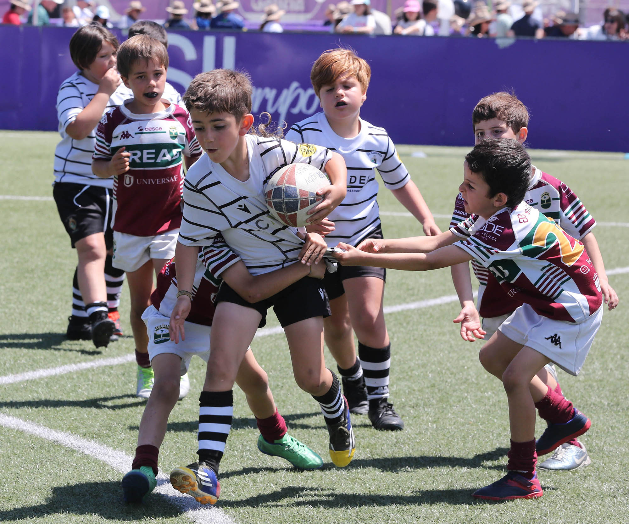 Foto del evento Festival Nacional de Rugby M6, M8 y M10