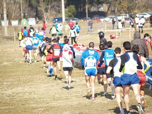 Foto del XL Trotada Popular por el Pinar