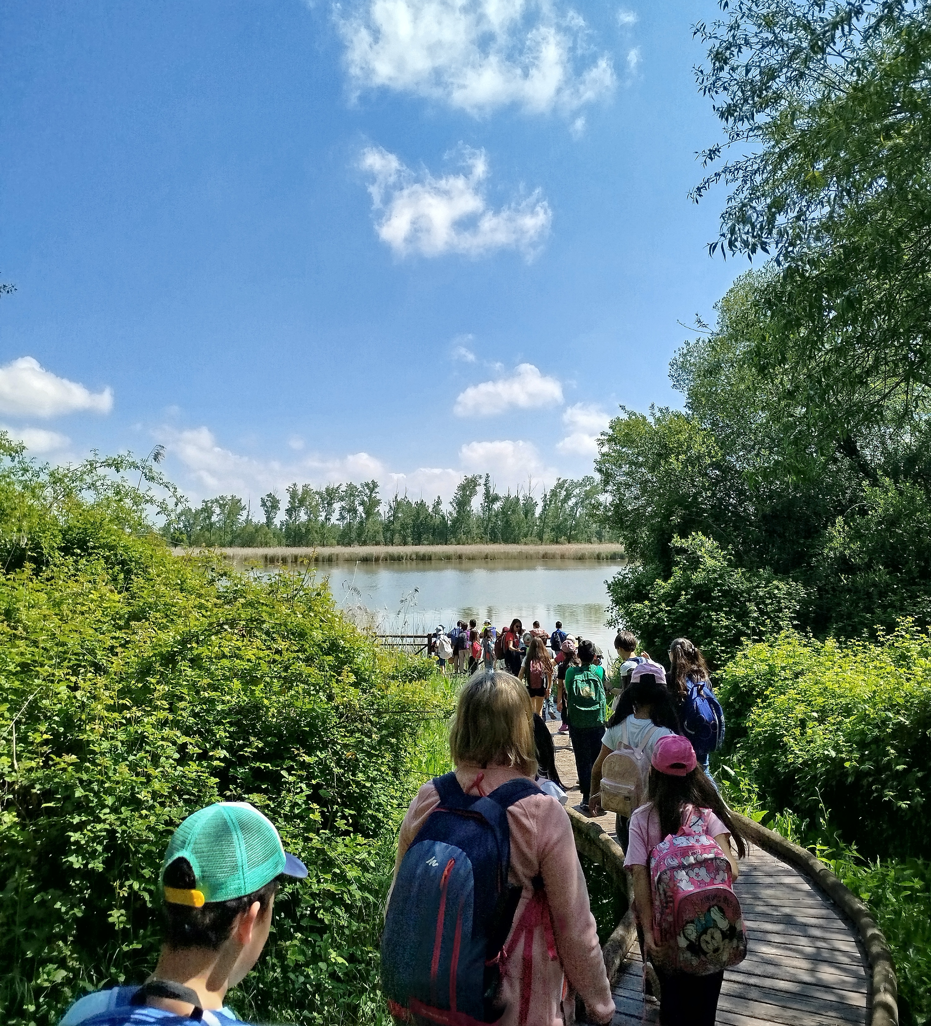 Foto que ilustra la noticia PROGRAMA CAMINANDO POR VALLADOLID Y DÍA VERDE CURSO 2025 - 2026