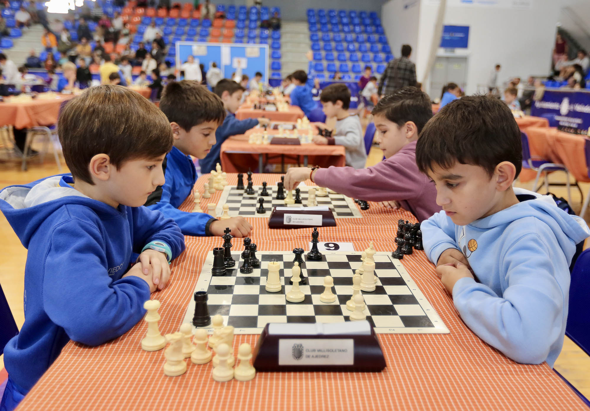 Foto de la instalación XVIII TORNEO DE AJEDREZ LA VENDIMIA